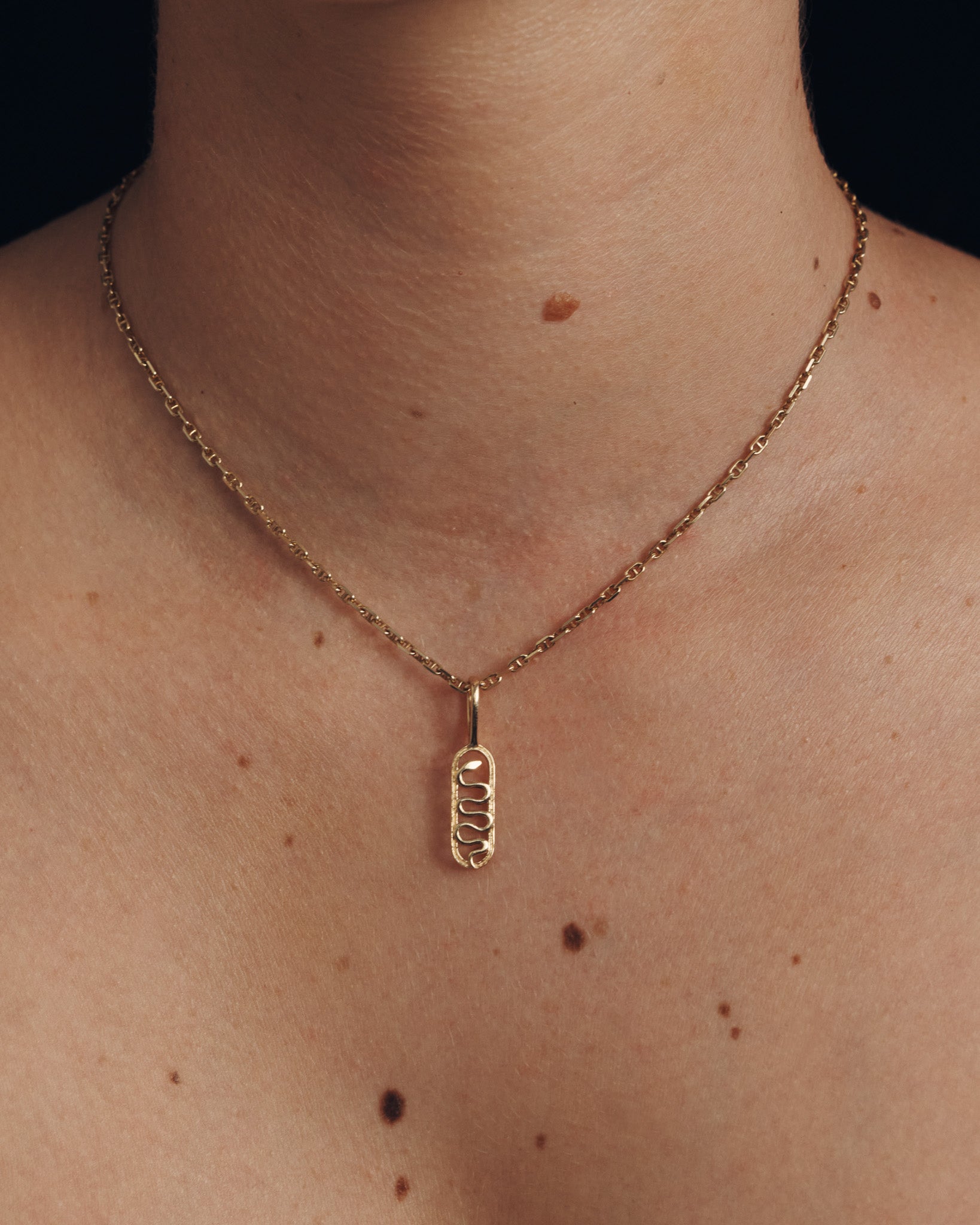 Pendant Companion Chains