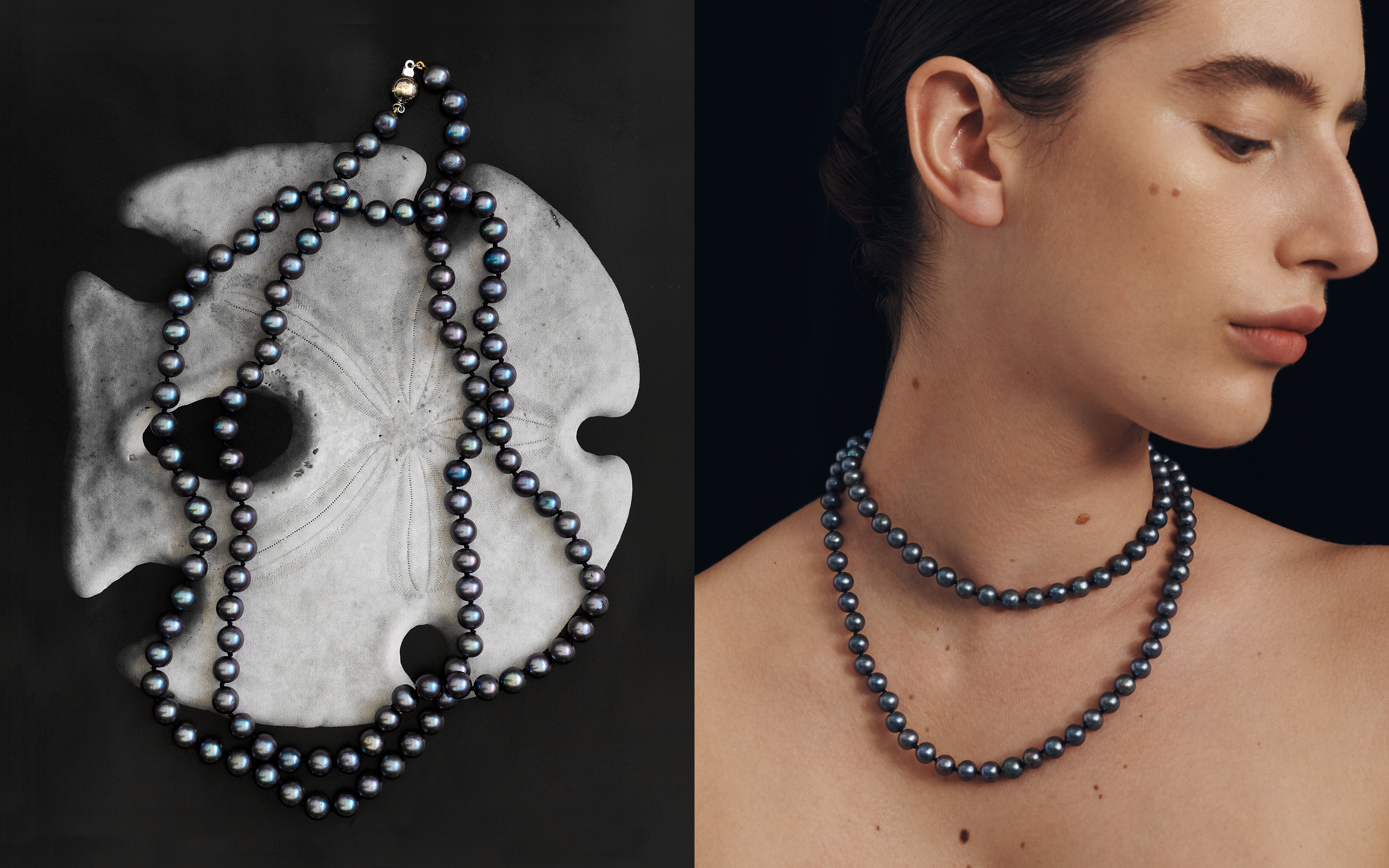 Black pearl necklace displayed on a sand dollar and worn by a person.