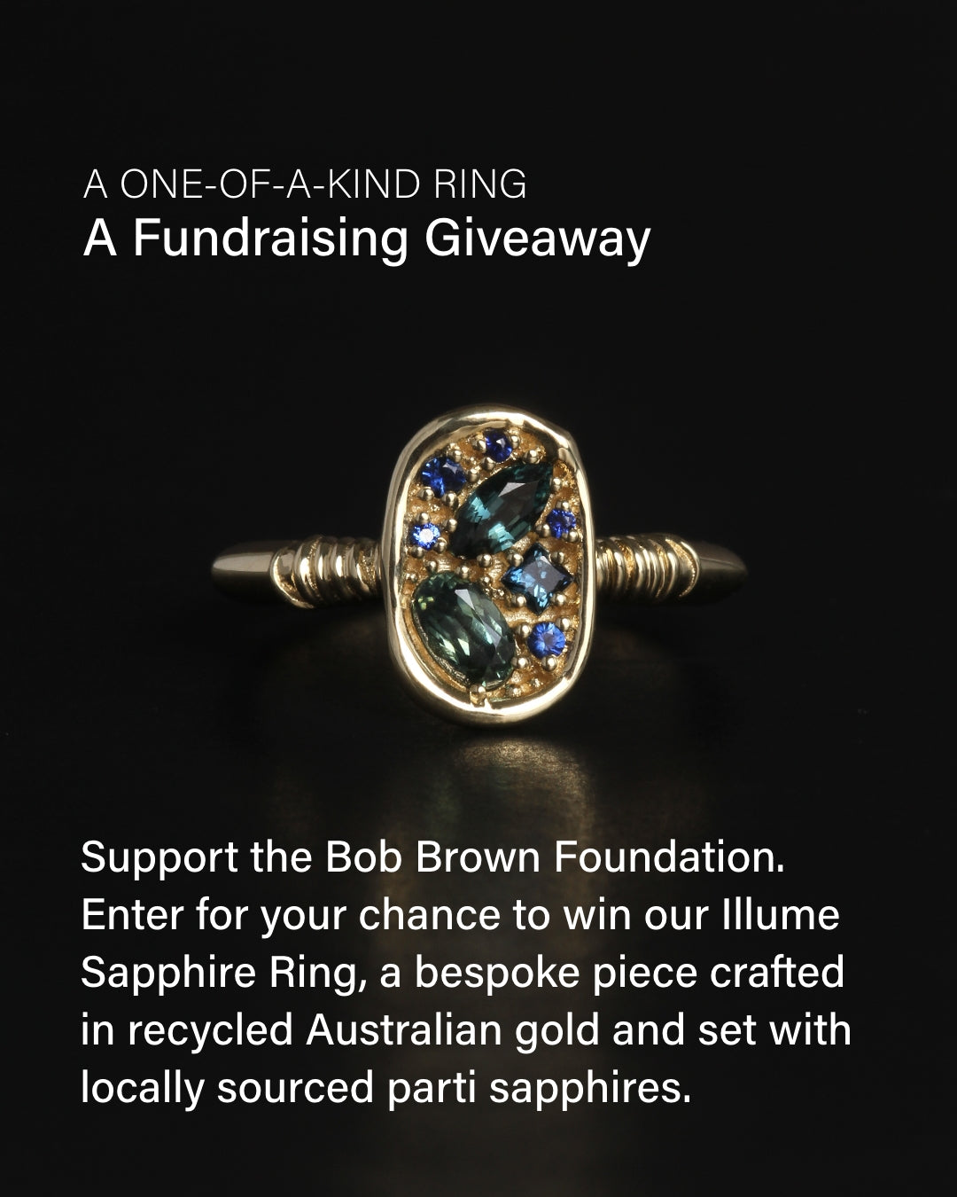 Bob Brown Fundraising Ticket