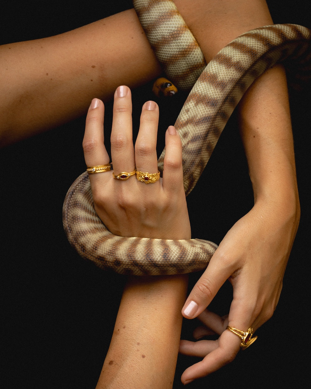 Temple of the Sun Verbena Wide Ring Ruby Solid Gold