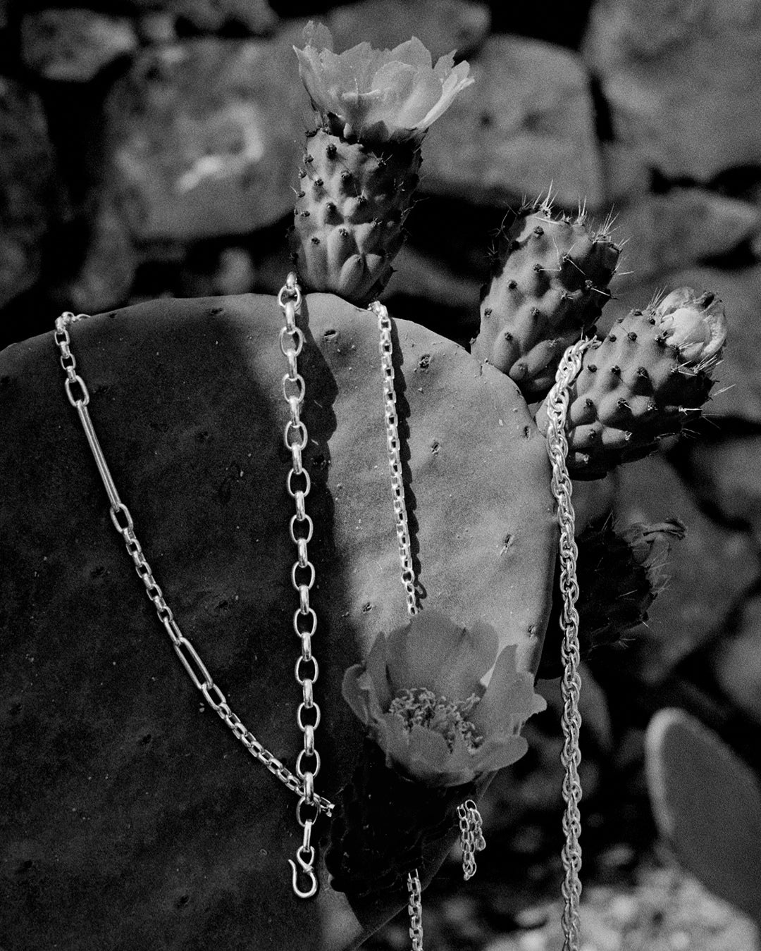 The Silver Chain Edit