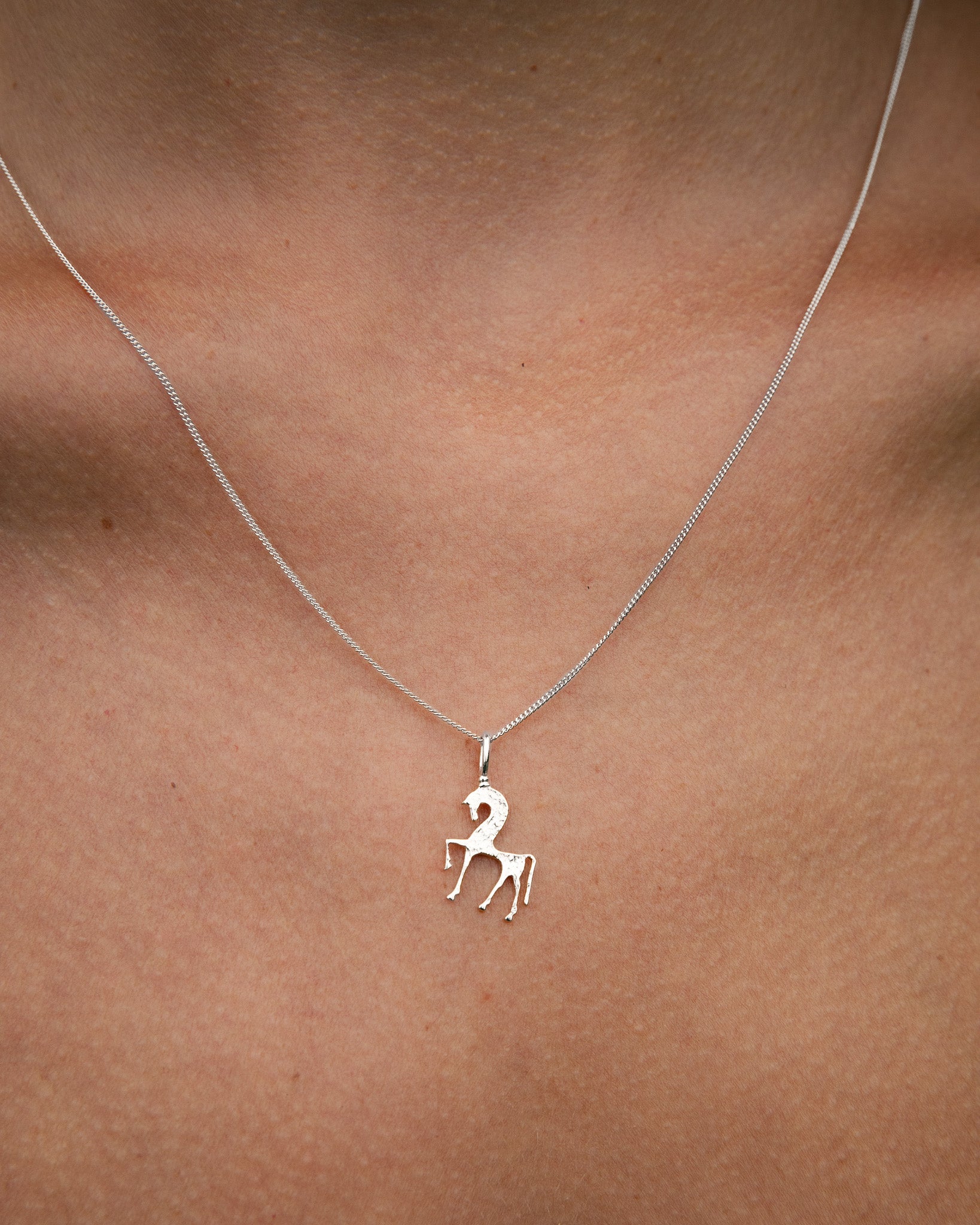 Silver necklace with a horse pendant on a person's neck