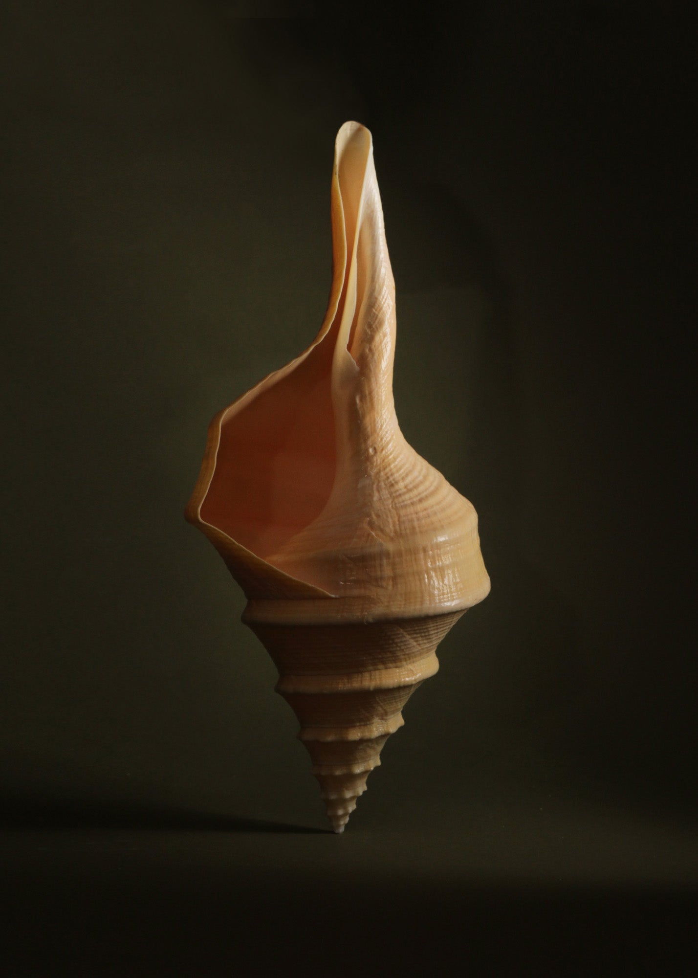 Greca's Ancient Greek Inspiration – Temple of the Sun Jewellery
