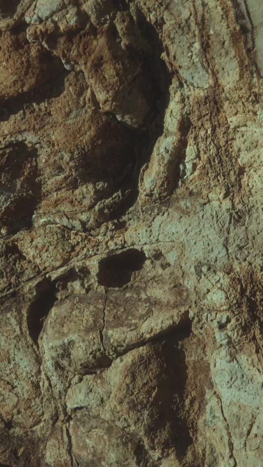 Mobile video or Arche Earth campaign