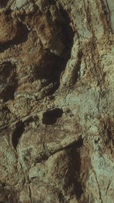Mobile video or Arche Earth campaign